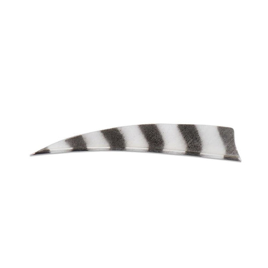 Buck Trail Feathers 4in Shield (pk/24) Barred