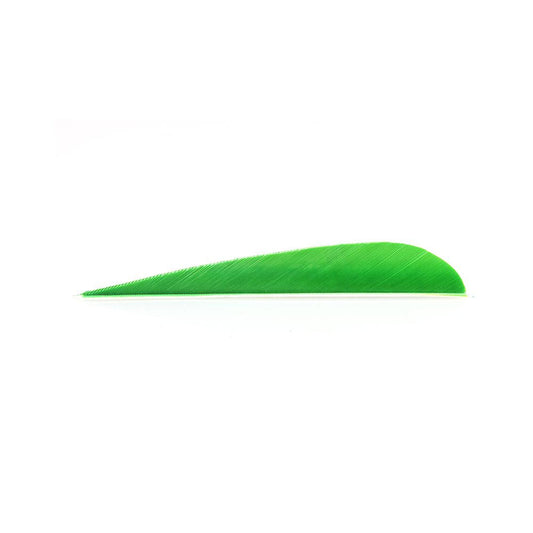 Trueflight Feathers 4in Parabolic (pk/50)